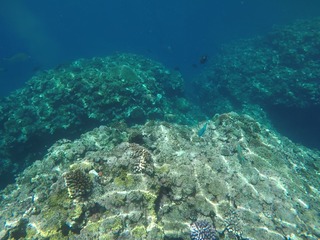 GOPR0824_Moment6