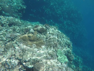 GOPR0824_Moment4