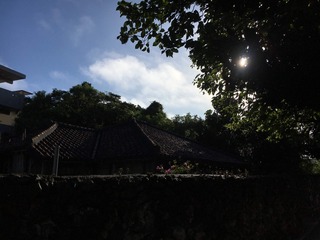 IMG_1895