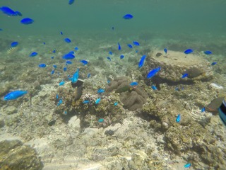 GOPR0830_Moment8