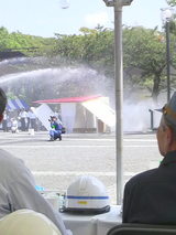 4e5b4534.jpg
