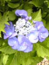 79f40f17.jpg