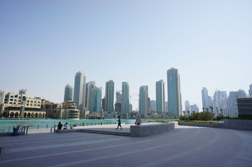 DSC01954