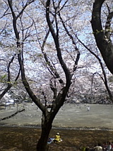 f65a5a30.jpg