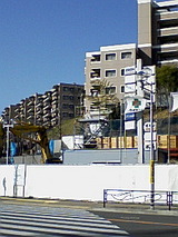 fe911b81.jpg