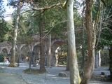 CIMG2549
