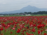 28b53378.JPG