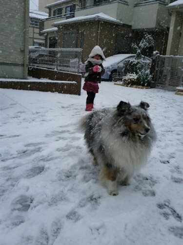 IMG_20130114_111351.jpg image