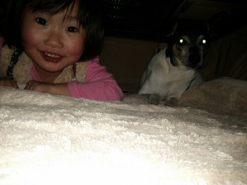 IMG_20130114_113739.jpg image