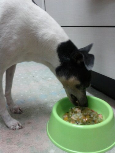 IMG_20130207_181949.jpg image