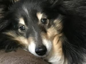 IMG_1213_convert_20180312222443