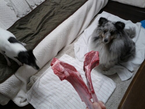IMG_20130520_182458.jpg image