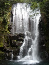 77f8925c.jpg
