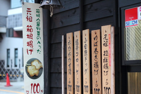 箱根日帰り10