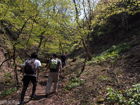 川苔山_11