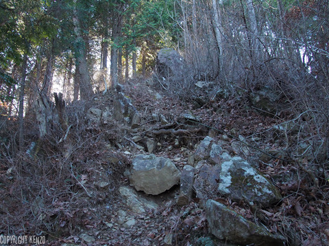 三頭山登山_17