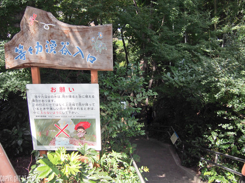 等々力渓谷散歩_3