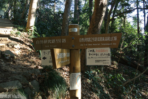 高尾山日帰り_8