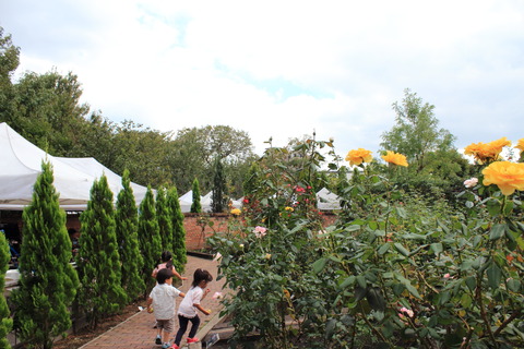 京王フローラルガーデンアンジェBBQ019