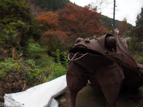 日の出山_つるつる温泉_登山_37