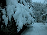 DSCN9138