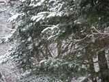雪3/27