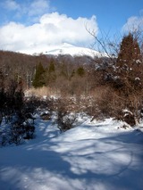 DSCN9151