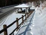 DSCN9158