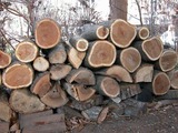 DSCN9071