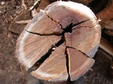 DSCN9079