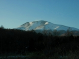 ���ֻ�2007.2.28