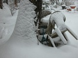 DSCN9105