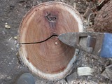 DSCN9075