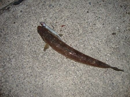 DSC01953