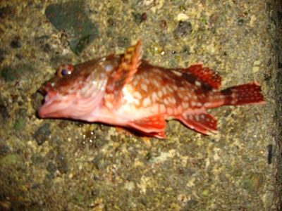 DSC01771
