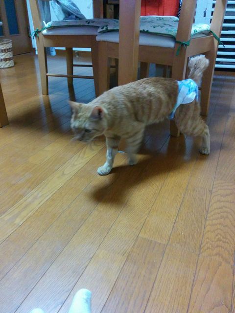 IMG_20161021_212155
