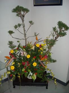 2011������֡���
