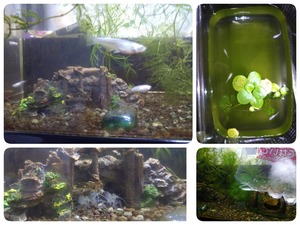 18-09-09-20-58-42-355_deco