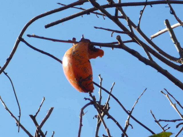 P1000949
