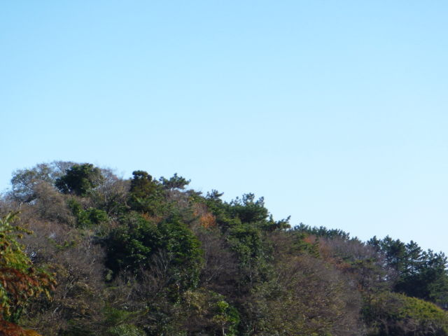 P1000947