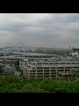 f6d66c99.jpg