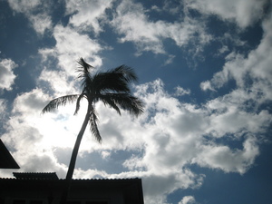 Hawaii20100210_1