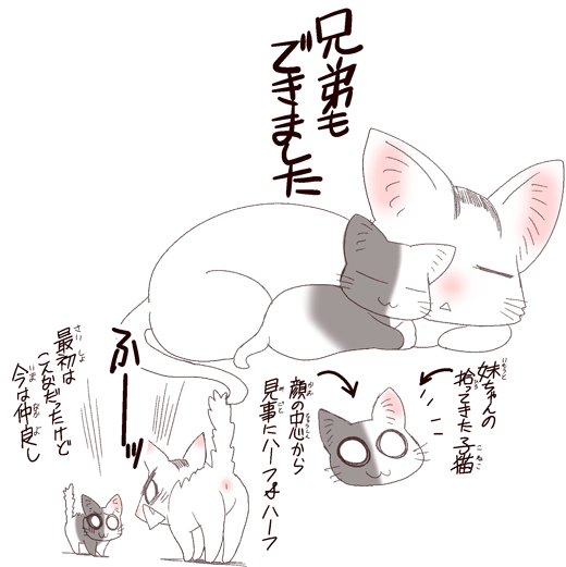 中国嫁388付属