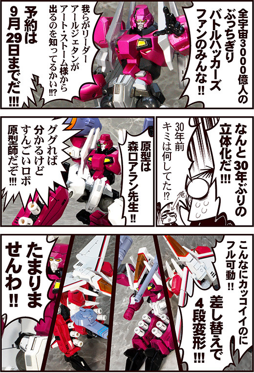 アールジェタン宣伝ネット01
