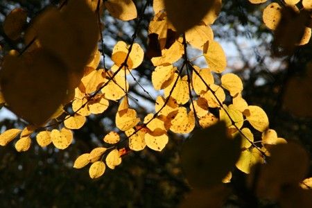 ��2