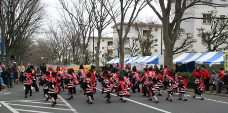 yosakoi
