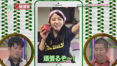 鈴本美愉りんごパイ