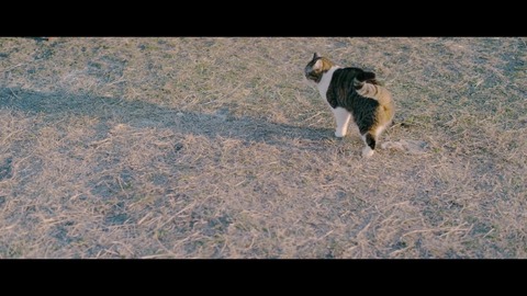 欅坂46 『ゼンマイ仕掛けの夢』 390
