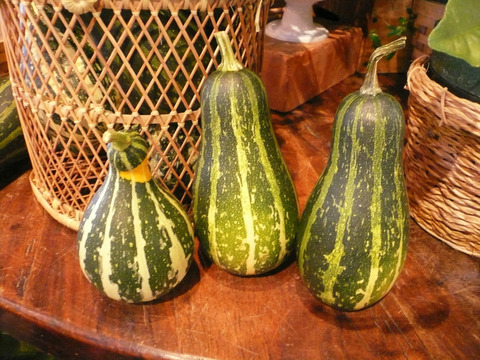 P1090621