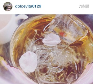 写真 2 (2)